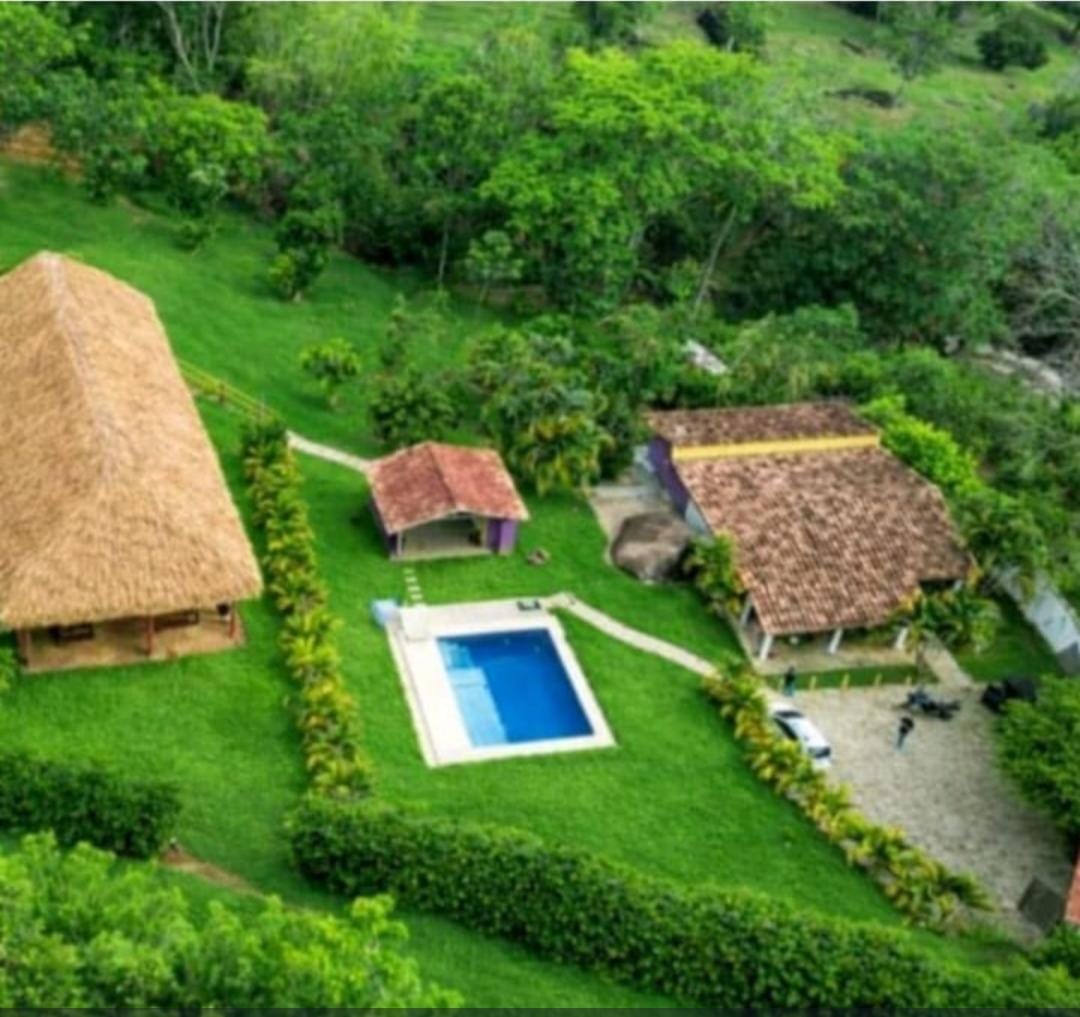 Finca MAKANA — Támesis 1